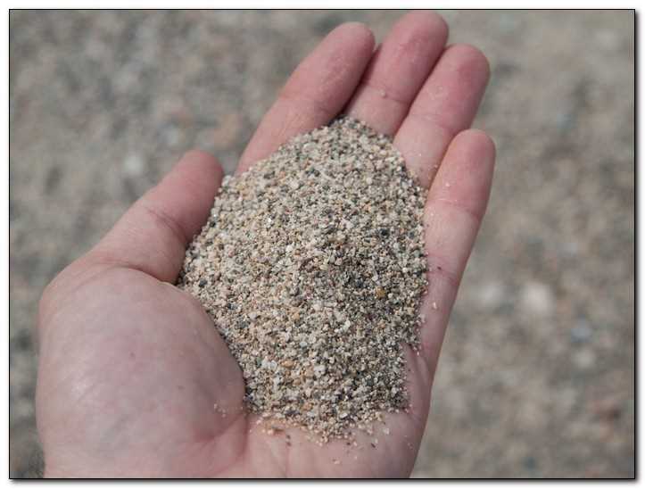 Экологическая роль речного песка