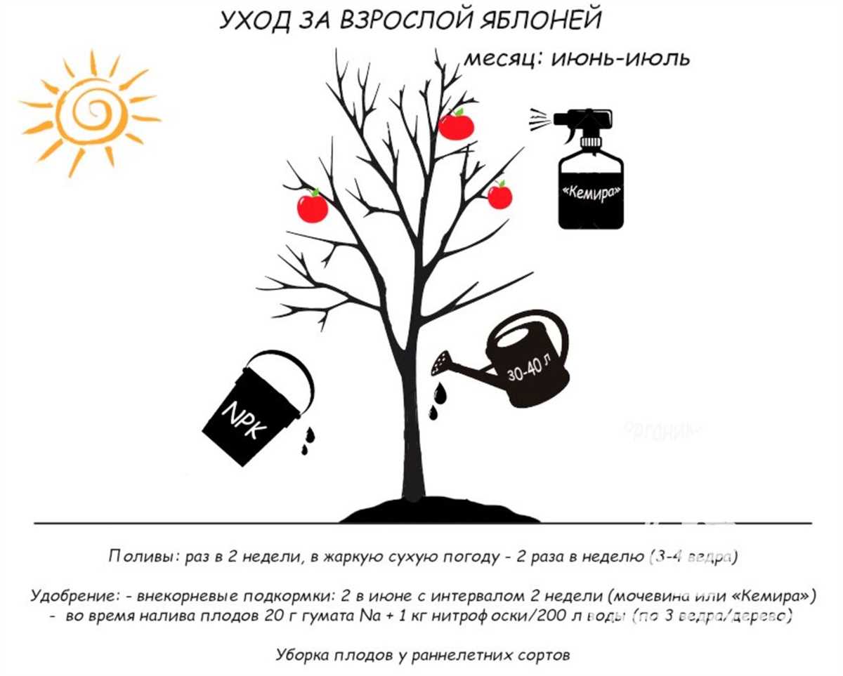 3. Надлежащая обрезка