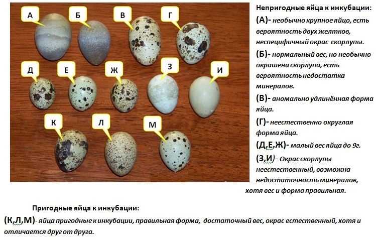 Создание оптимальных условий