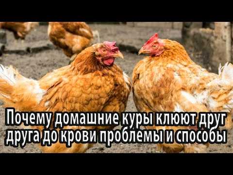 Недостаток продуктов различного происхождения