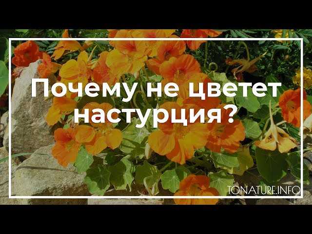 Неправильное освещение