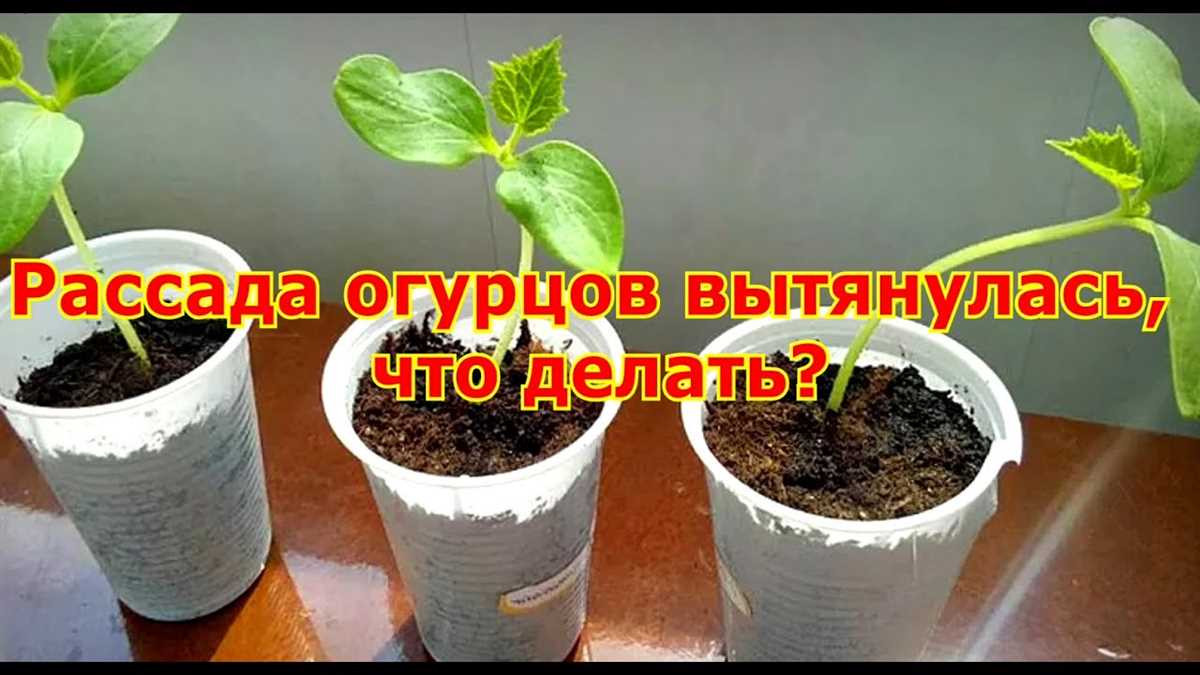 Высокая температура