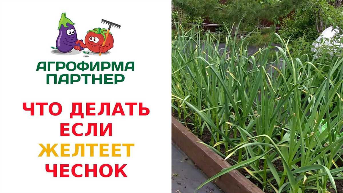 1. Естественный процесс старения