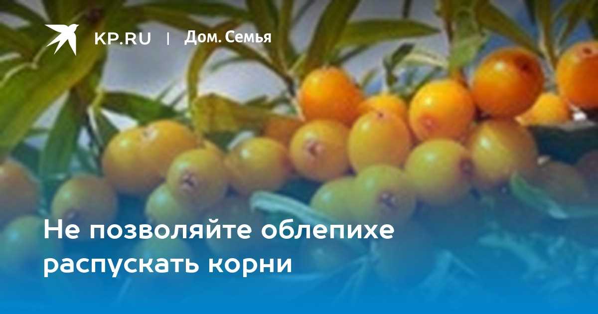 2. Недостаток питательных веществ