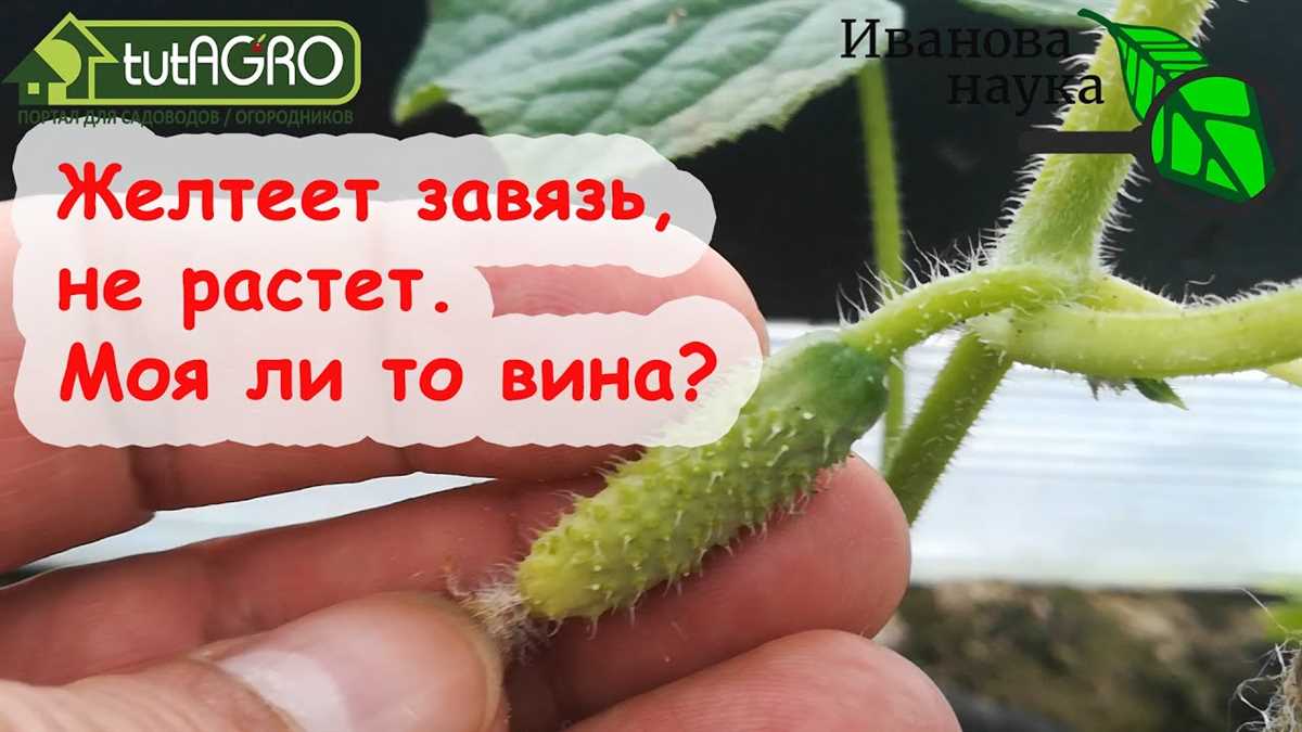 1. Недостаток опыления