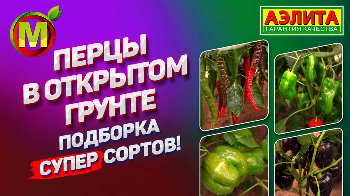 Сорта цветного перца