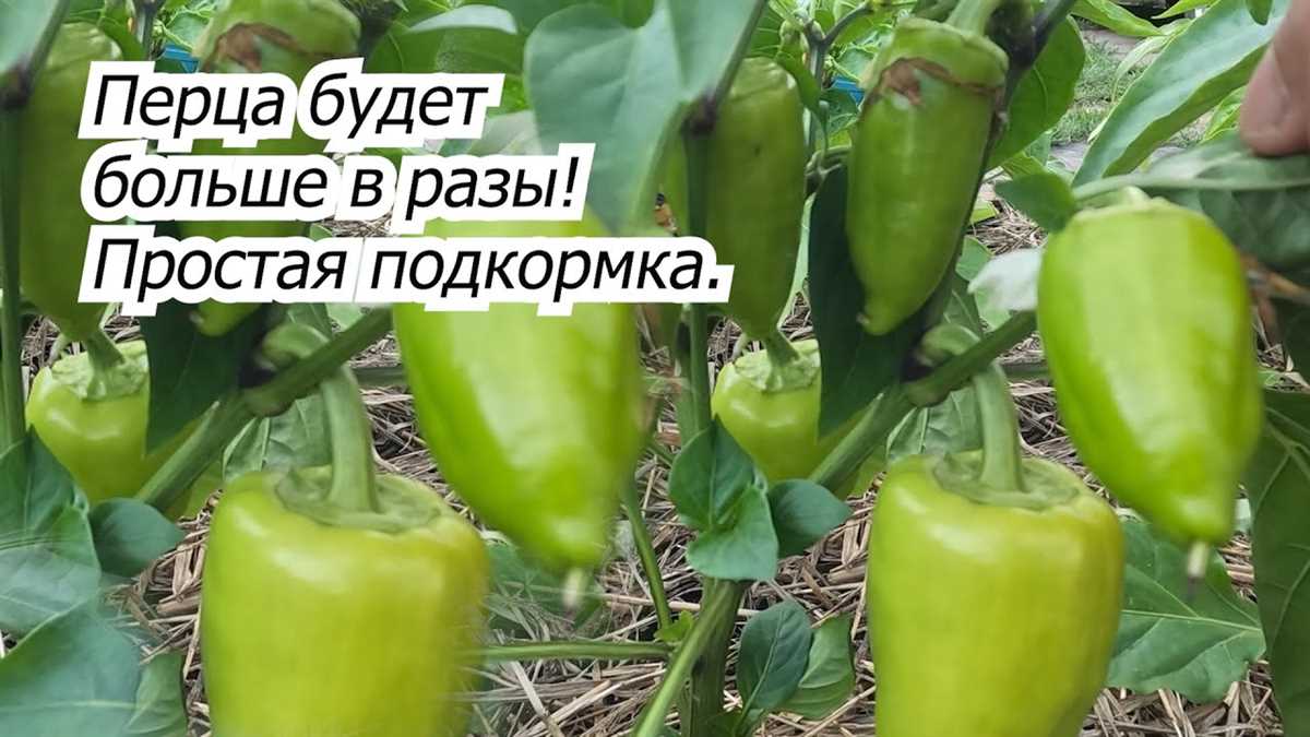 Состояние почвы