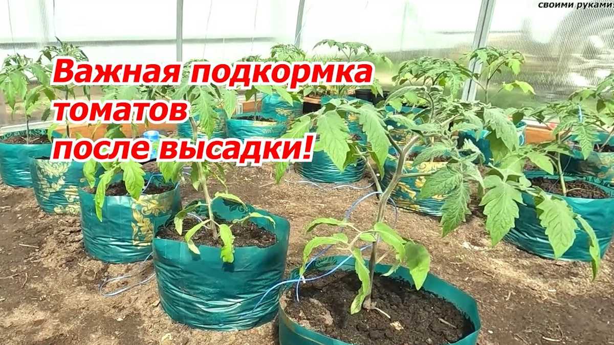 Другие меры для повышения урожайности