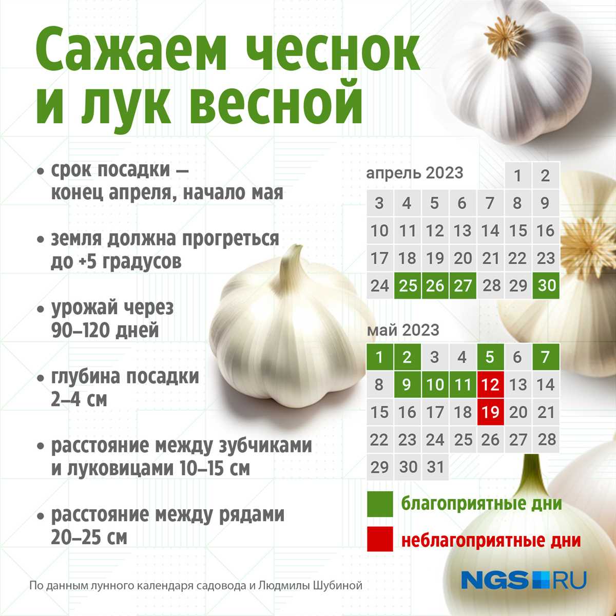 Хорошая дренировка почвы