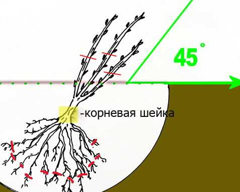 Уровень освещенности