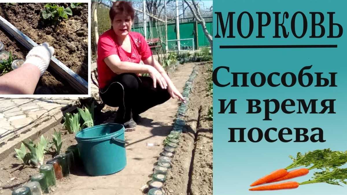 Шаг 1: Очистите участок от сорняков и мусора