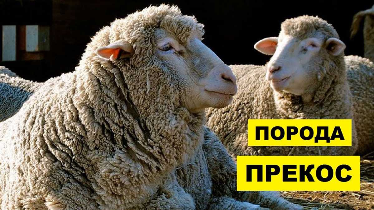 Улучшение качества продукции