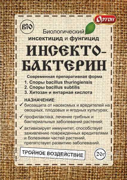 Действие препарата Инсектобактерин на насекомых