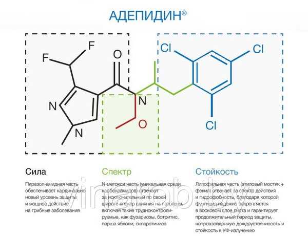 1. Головная боль