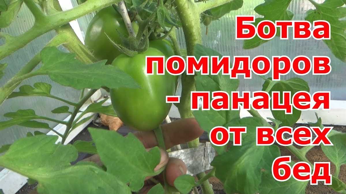 Полезные свойства ботвы: