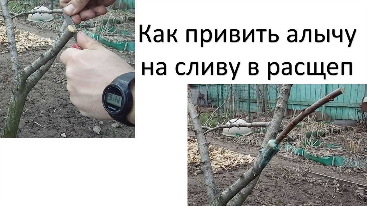 Инструменты: