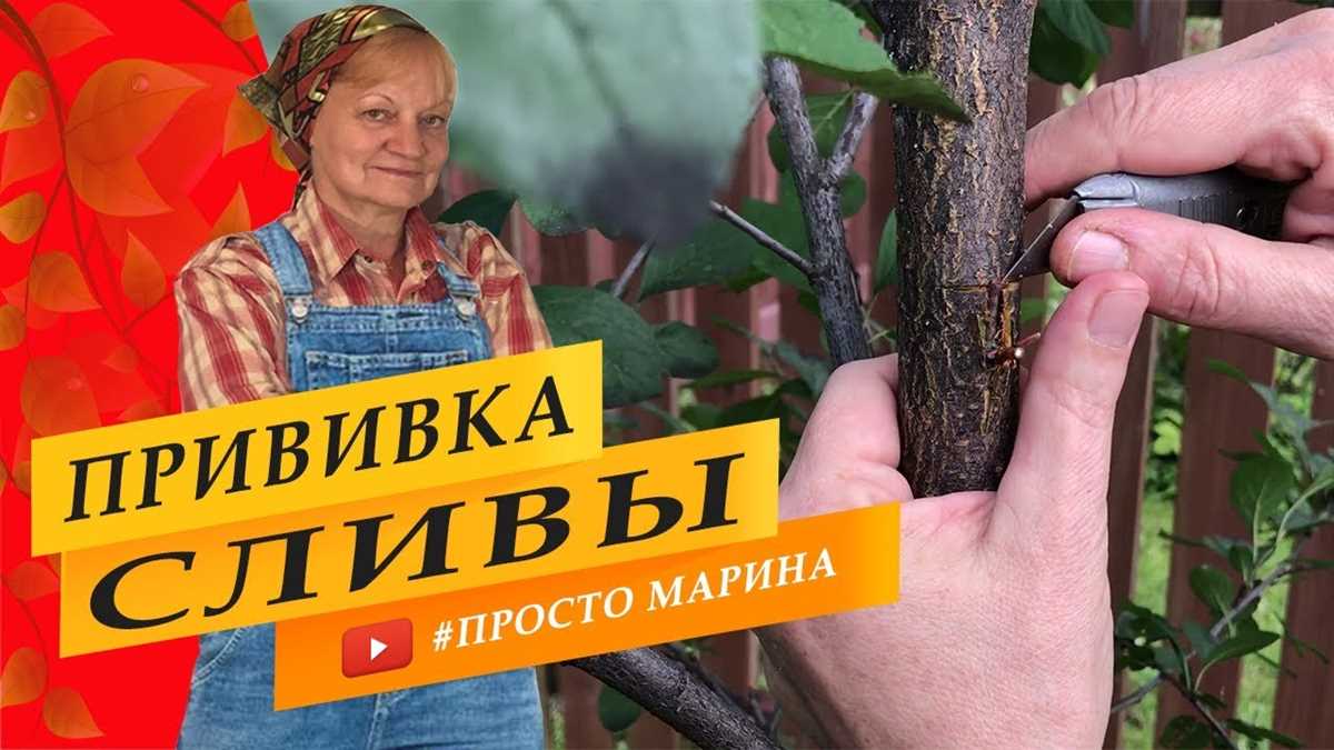 Материалы: