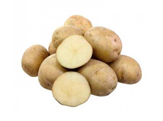 Популярные прахоустойчивые сорта картофеля
