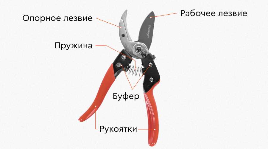 Как использовать газонный секатор: