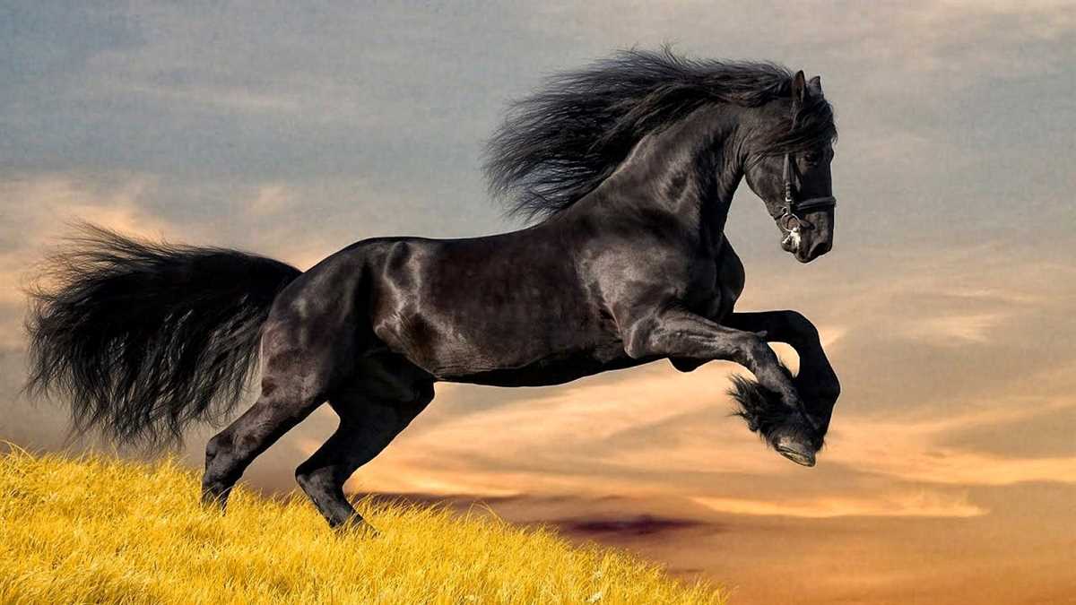 Джессика Стоун: самая дорогая лошадь на планете
