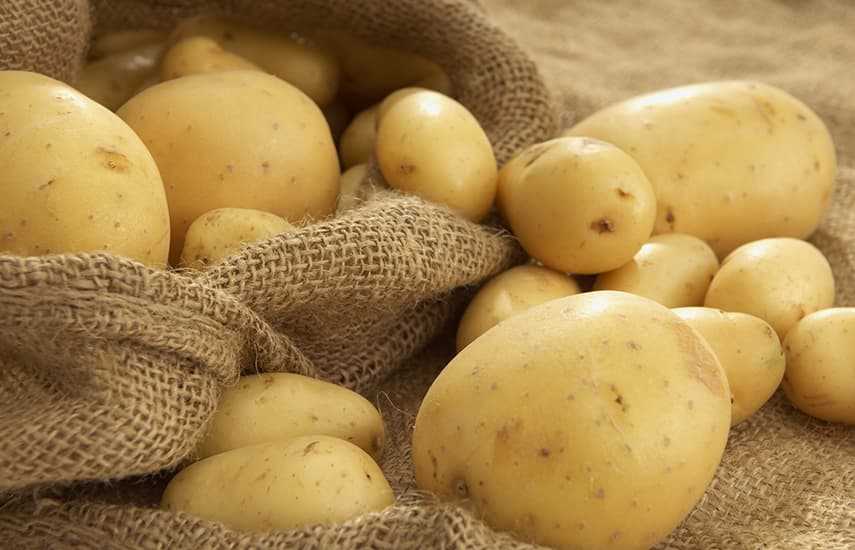 Картофель жареный: идеальные сорта