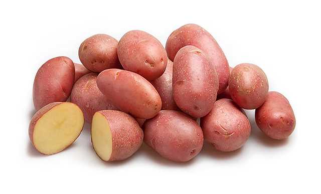 Полезные свойства розового картофеля