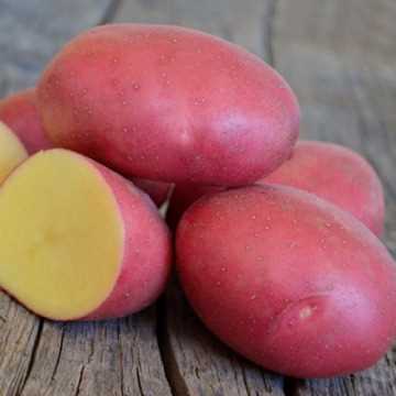 Популярные блюда с розовым картофелем