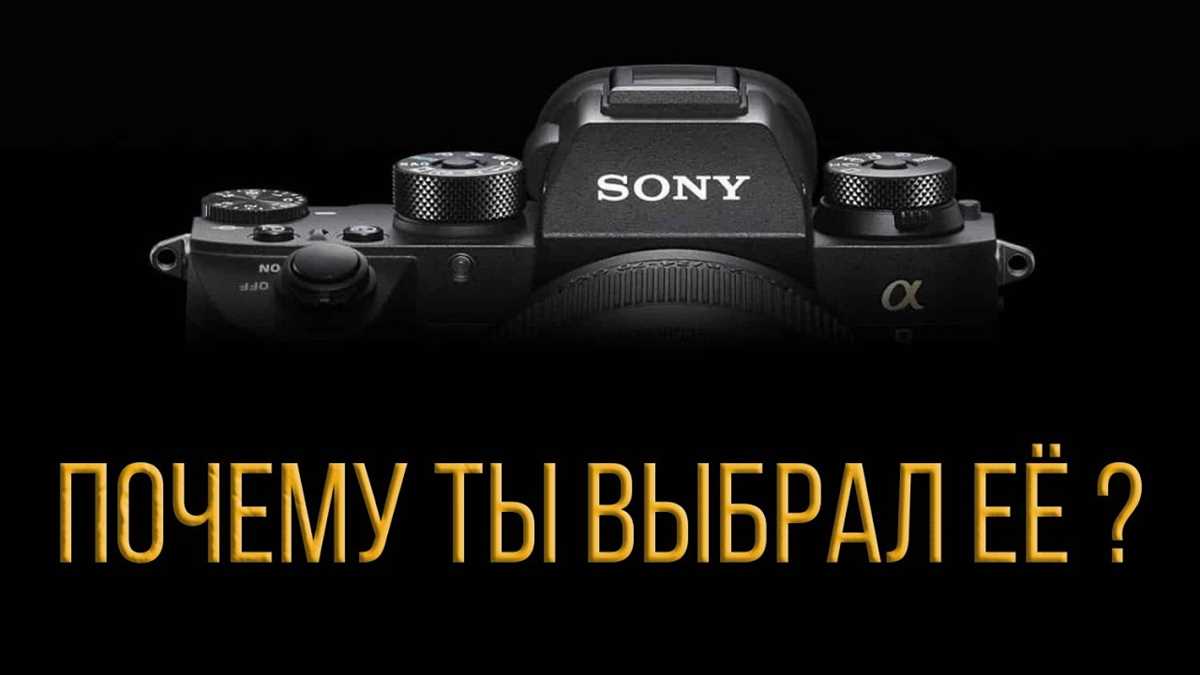 Цена и доступность фотоаппаратов Sony