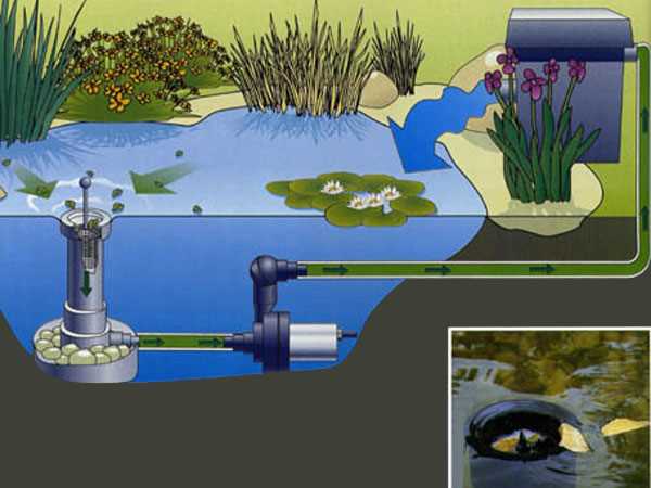 Механическая очистка водоемов: простое и эффективное решение