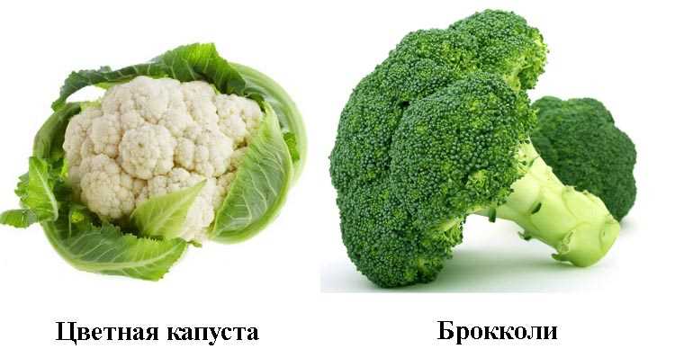 Цветная капуста