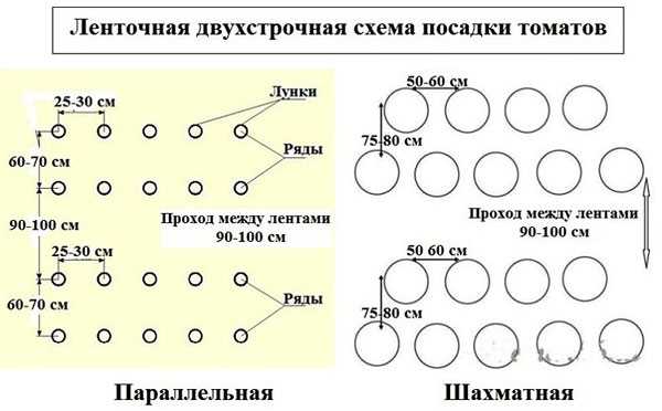 Подготовка почвы и удобрение