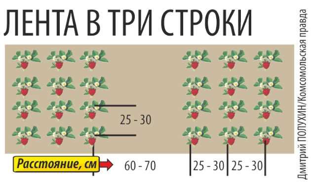 3. Почва и удобрения