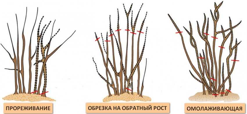 Выбор подходящих инструментов