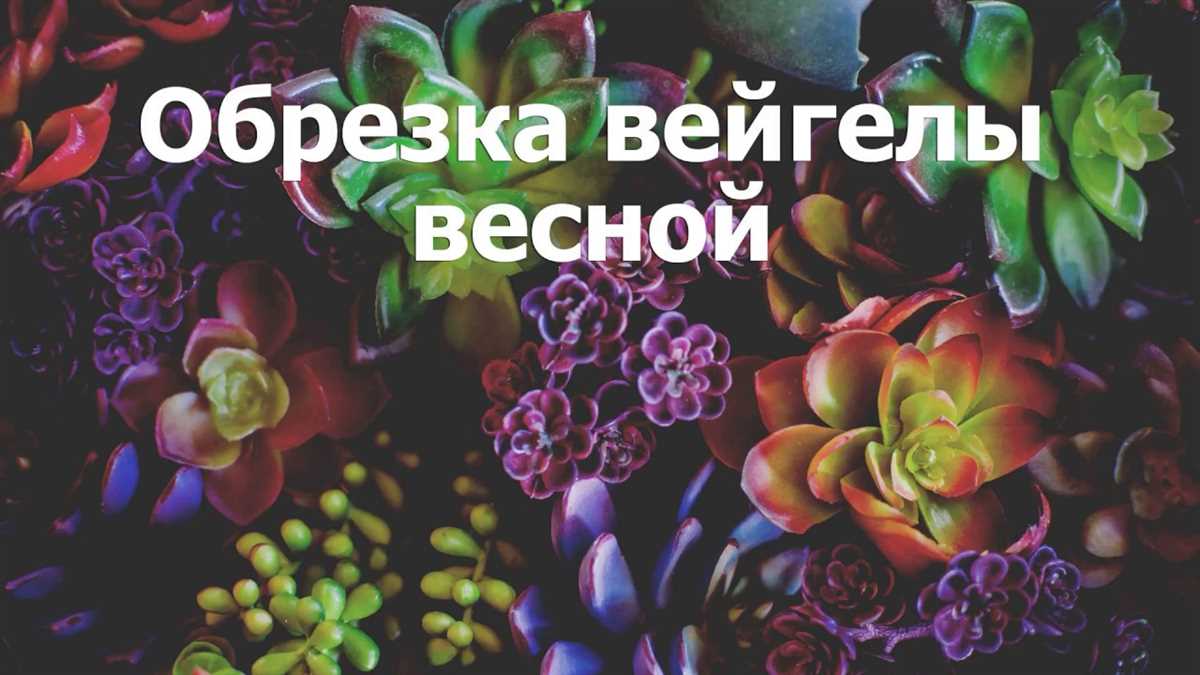 Секреты профессионалов