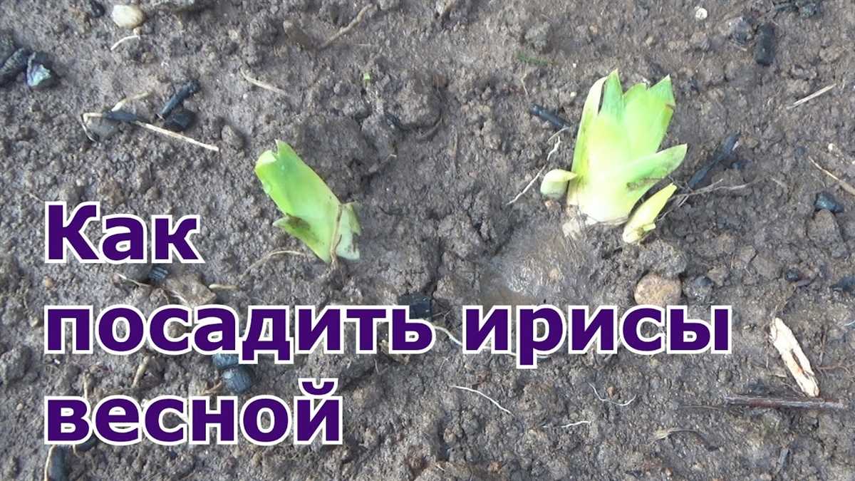 Выбор места для посадки