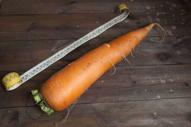 Морковь – низкокалорийный продукт