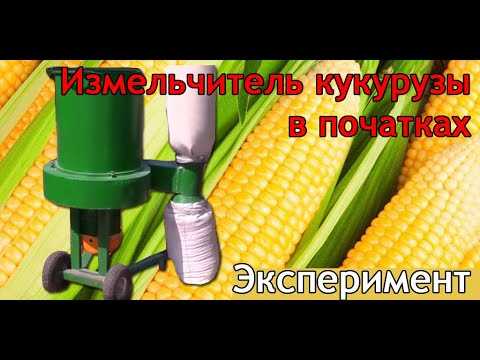 Выбор измельчителя для кукурузы