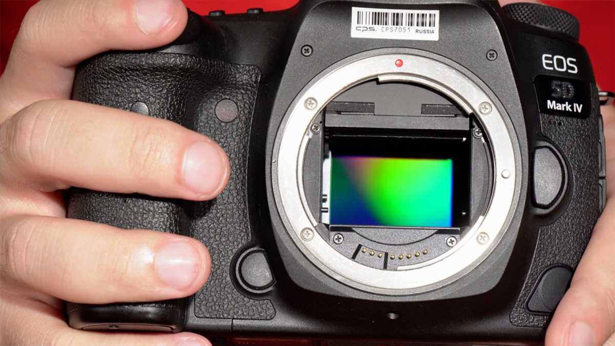 Выбор полнокадрового фотоаппарата Canon