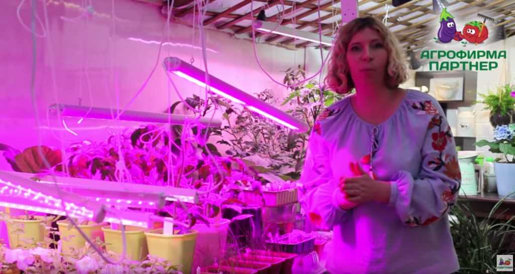 Как правильно установить светодиодную ленту для растений?