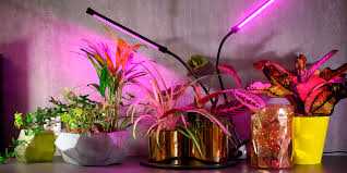 Как выбрать подходящую мощность светодиодной ленты для растений?