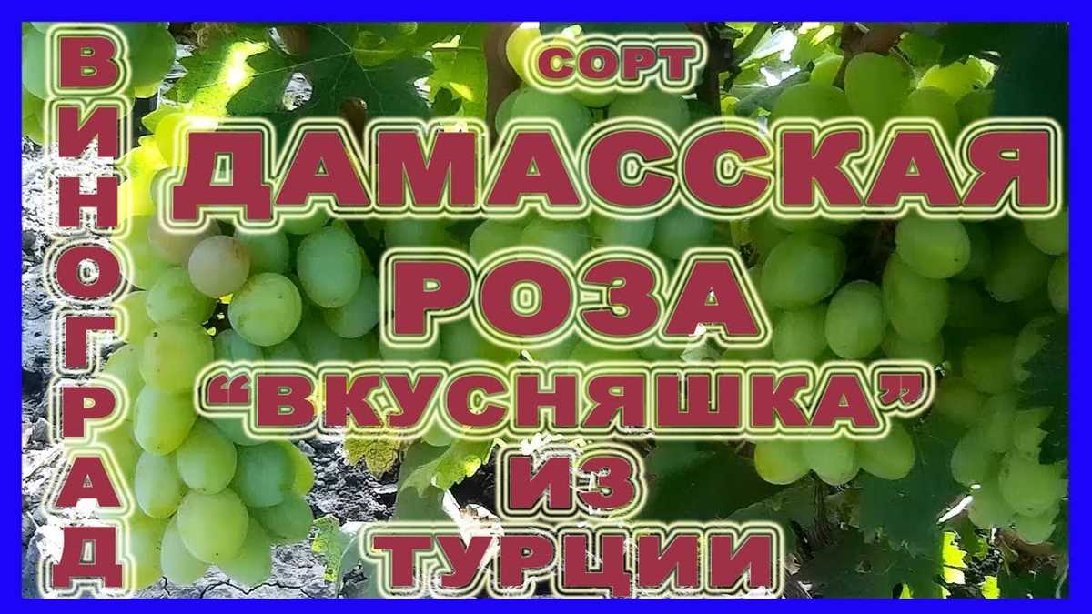 Селекционные особенности