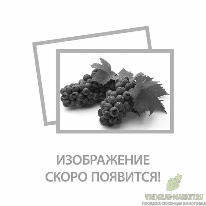 Особенности выращивания