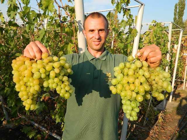 Средние века и Возрождение