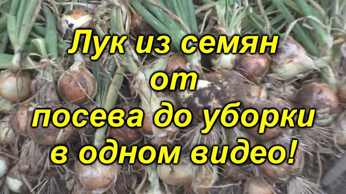 Внесение удобрений