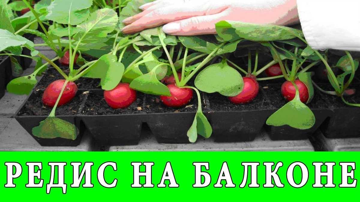 Экономия времени и денег