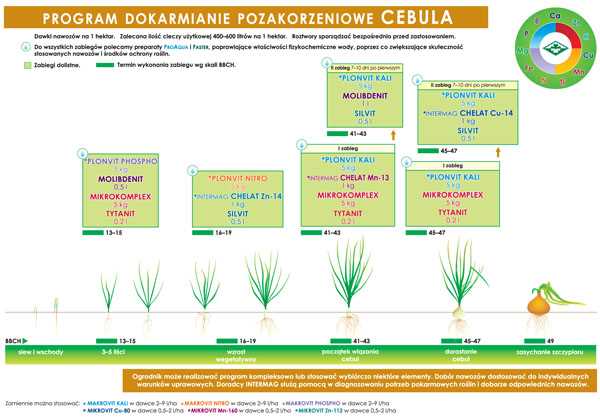 2. Срок созревания