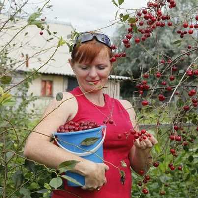 Полезные свойства