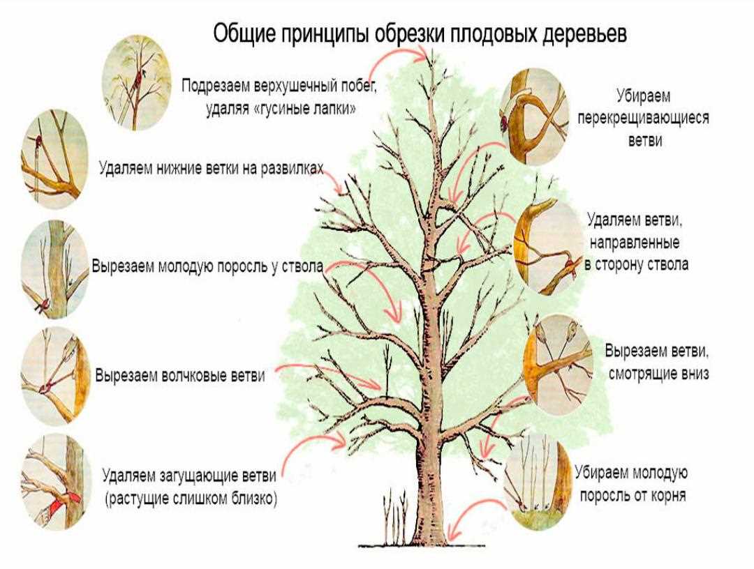 Методы и инструменты обрезки