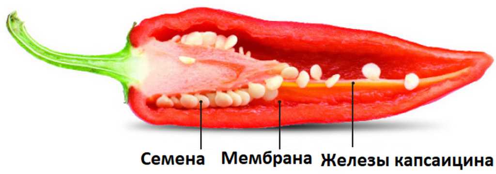 Важные факты об остроте перцев