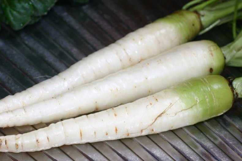 Применение белой моркови в кулинарии